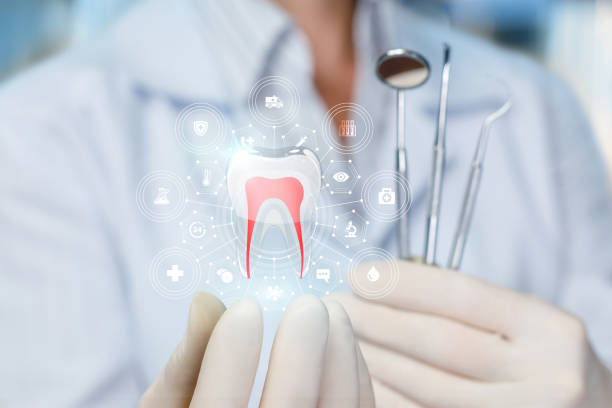 Reliable Elmo, TX Holistic Dental Care Services Solutions